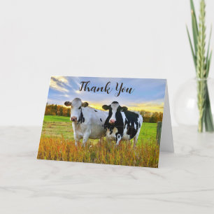 Vaches Holstein En Automne Carte de remerciements 