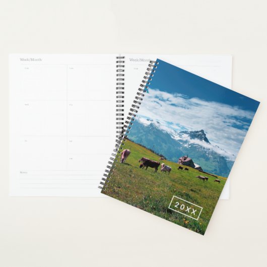 Vaches joyeuses sur la ferme en Suisse (Devant avec enveloppe)