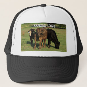 Vaches Kansas dans un pâturage vert Casquette de c