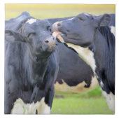 Vaches meilleurs amis embrasser Carreaux (Devant)