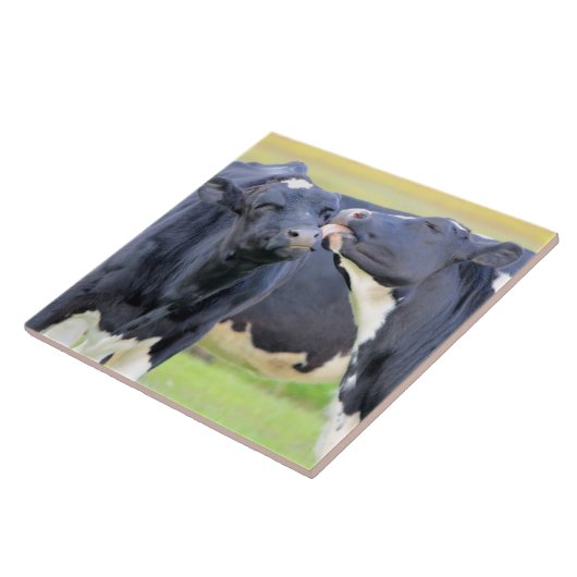 Vaches meilleurs amis embrasser Carreaux (Côté)