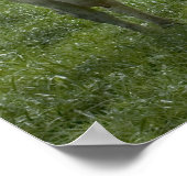 Vaches Obtenir Une Impression De Douche (Coin)