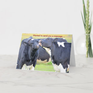 Vaches que je vous aime Carte de voeux