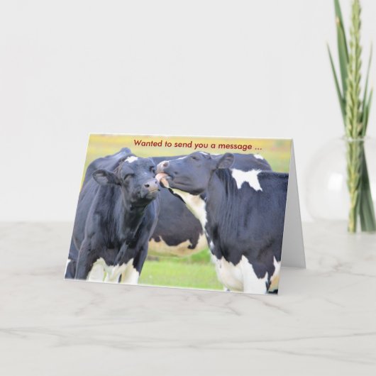 Vaches que je vous aime Carte de voeux (Devant)