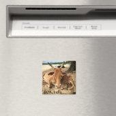 Vaches sur la plage en Inde Magnet (In Situ (Lave-vaisselle))