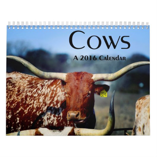 Vaches, un calendrier 2016 (Protection)