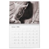 Vaches, un calendrier 2016 (Jan 2026)