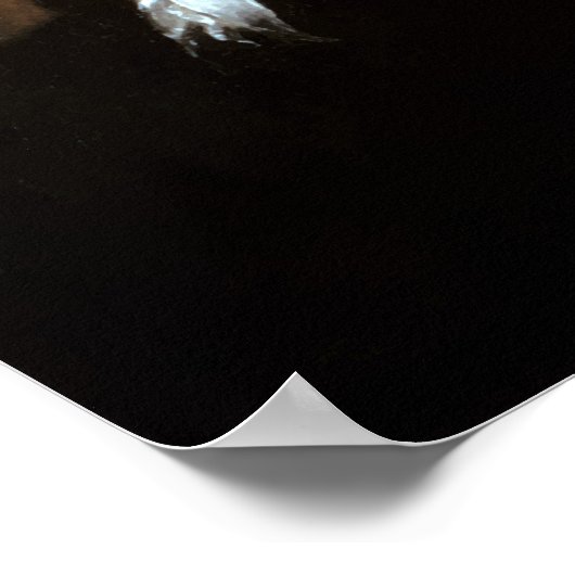 Vader Alexander Hamilton Poster (Hoek)