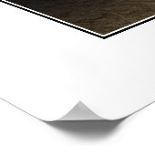 Vader Lavone Poster (Hoek)