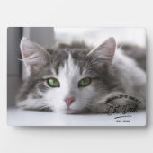  Vaderdag Beste Kat Papa Foto Plaque Fotoplaat (voorkant)