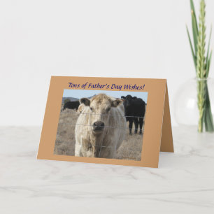 Vaderdag Cattle - Ranch of Boerderij Kaart