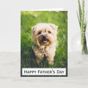 Vaderdag Hond Papa Grootste Beste Ooit Huisdier Fo Kaart