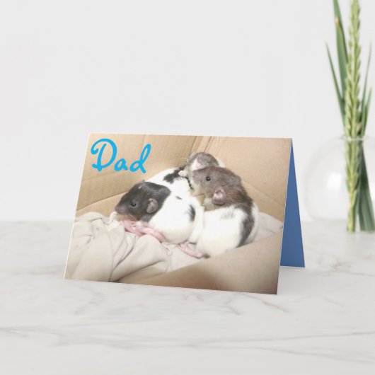 Vaderdag kaart (baby ratten) (Voorkant)