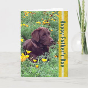 Vaderdag Knappe Labrador Retriever Hond Foto Kaart