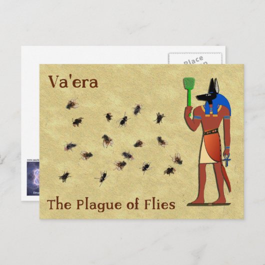 Va'era - De plaag van de vliegen Briefkaart (Voorkant / Achterkant)