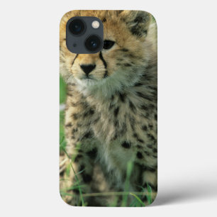 Vage jachtluipaardwelp iPhone 13 hoesje