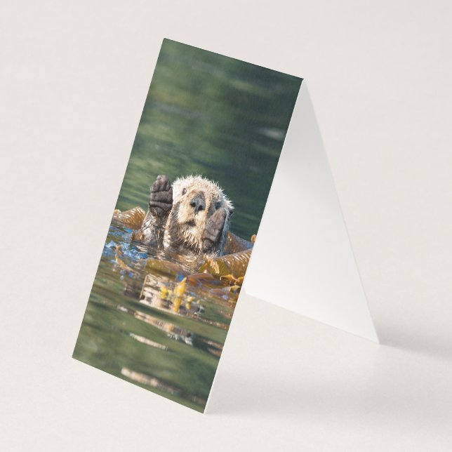 Vague Louter de mer (Back)