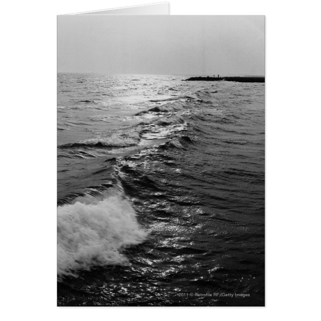vagues (Devant)