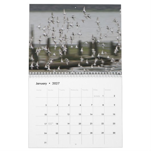 Vagues de Westport - 2013 calendriers surfants (Jan 2027)