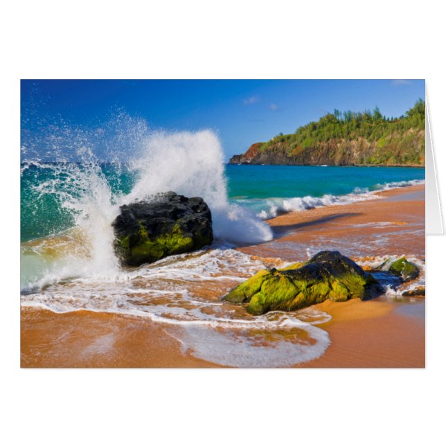 Vagues se brisant sur la plage, Hawaï (Devant horizontal)