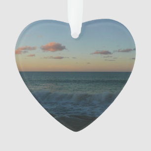 Vagues s'écrasant au paysage de Sunset Beach