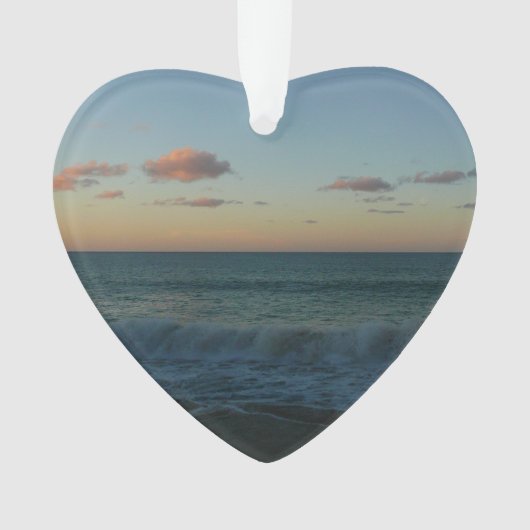 Vagues s'écrasant au paysage de Sunset Beach (devant)