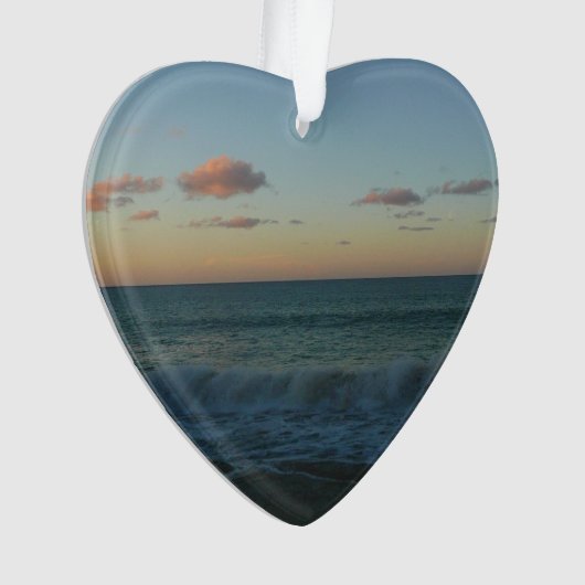 Vagues s'écrasant au paysage de Sunset Beach (devant)