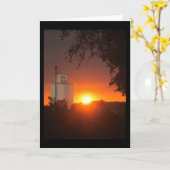 Vail, het Wenskaart van de Zonsondergang van de Kaart (Gele Bloem)