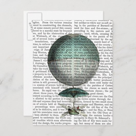 Vaisseau Volant Hot Air-ballon Briefkaart (Voorkant / Achterkant)