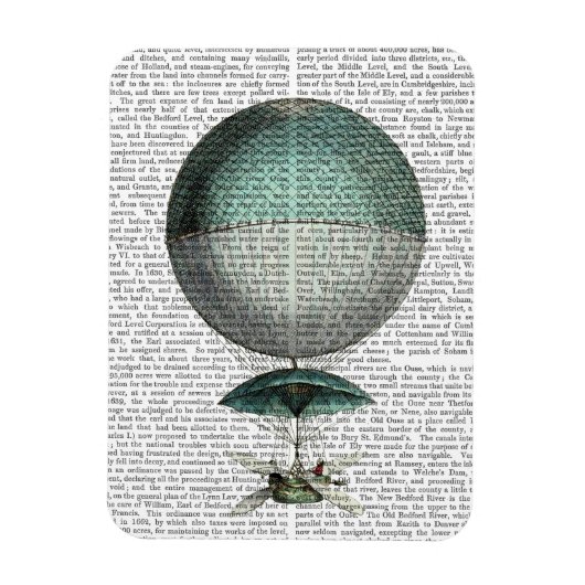 Vaisseau Volant Hot Air-ballon Magneet (Verticaal)