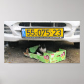 Vak Kat 1 Poster (Voorkant)