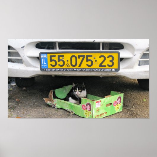 Vak Kat 1 Poster (Voorkant)