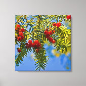 Vakanaal Canvas Afdruk (Voorkant)