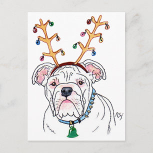 Vakantie Bulldog Briefkaarten