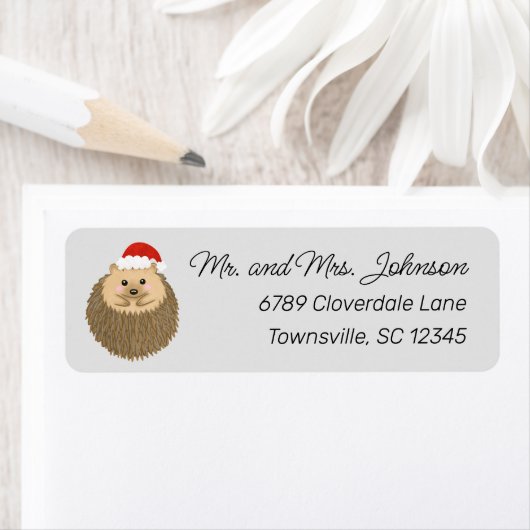 Vakantie Hedgehog Leuk dier retour adres Etiket (Insitu)