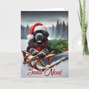 Vakantie Kaart Newfoundland Santa Newf