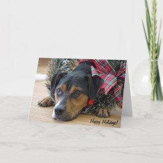 Vakantie Kaart "Santa's Cookies?"