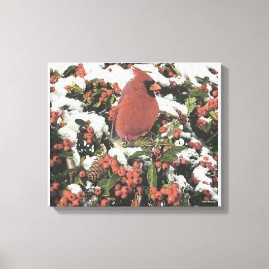 Vakantie Kardinaal Collage Uitgerekte Canvas Kunst (Voorkant)