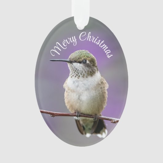 Vakantie kolibrie Acryl Ornament (voorkant)