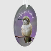 Vakantie kolibrie Acryl Ornament (voorkant)