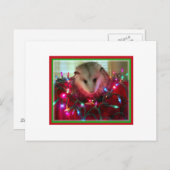 vakantie opossum feestdagenkaart (Voorkant / Achterkant)