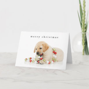 Vakantie Puppy Speeltijd Feestdagen Kaart