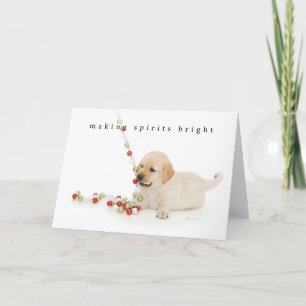 Vakantie Puppy Speeltijd Feestdagen Kaart