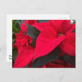 Vakantie rood Briefkaart (Voorkant / Achterkant)