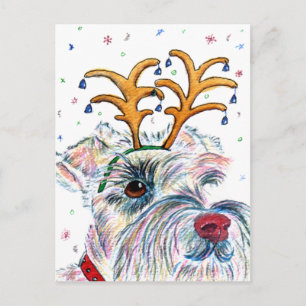 Vakantie Schnauzer Briefkaarten