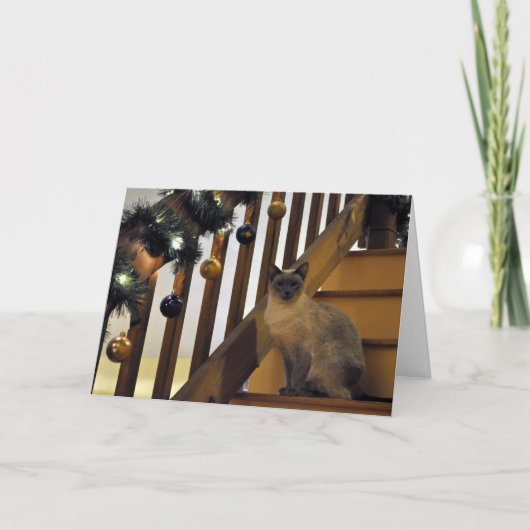 Vakantie Siamese 2 Feestdagen Kaart (Voorkant)