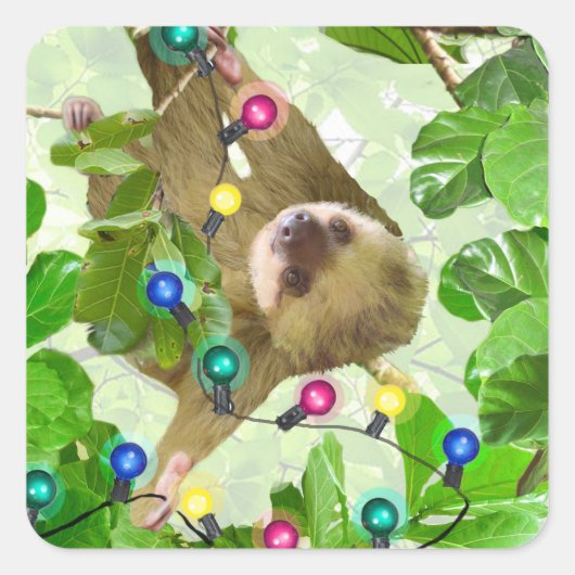 Vakantie Sloth Square Sticker (Voorkant)