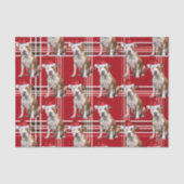 Vakantie Stafforshire Dog Red Plaid Kerstmis Tissuepapier (Voorkant)