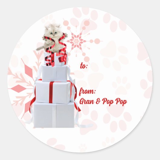 Vakantiecatten Rode en roze Labels (Voorkant)