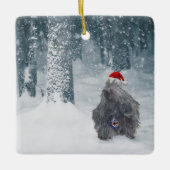 Vakantiedrukbeekje in het ornament (Voorkant)